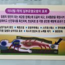 해독찜질디톡스