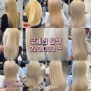 원무드헤어