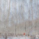 햇살가득농장펜션 이미지