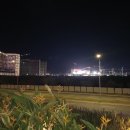 필리핀버드