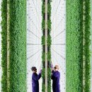 선은농장 이미지