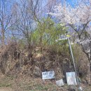 비야골낚시터 이미지