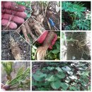 이룬농장 이미지