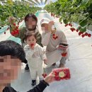 남대천새벽시장 | 2026년 봄 일상(Feat 놀기+먹기+캠핑+@)