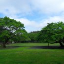 절물자연휴양림 이미지