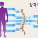 안녕심리발달센터 이미지