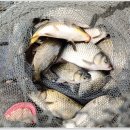 산들 낚시터 이미지