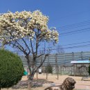 안성동신초등학교 이미지