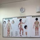 김기숙 | 을지로 마사지 숨은 찐 체형교정 김기숙힐링숍 후기