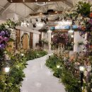 파밀리아 | [공지] [용인/스몰웨딩]누에바파밀리아 본식 후기(사진 위주)