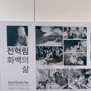 호심다방 | [통영 한 달 D+14] 한 달 살기의 특권! 전혁림 미술관 매일 출근 도장 찍기
