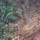 덕담민박 이미지