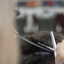 이용사 자격증 이미지