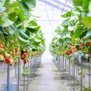 태성농장 이미지