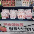 보네하우스