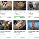 아기고양이 뽀또 덕분에 냉방비, 난방비 걱정없이 지낼 수 있게 됐습니다. 이미지