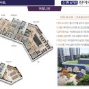 선운지구진아리채 이미지