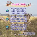 DAUM 김제카페(전국김제향우회) 송년회 정모 스케치 이미지