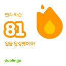 팜스펫 | 두유랑 2월에 다녀오고, 먹어보고, 사용해 본 모든 것들 정리해 볼게요