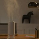 안개숲 | 🌿 알리사 숲속안개 미니 초음파 무선 가습기 700ml 후기