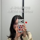 폰케이스 | 아이폰17pro 아트굿즈 디자인케이스, 아트케이스 예쁜폰케이스 후기