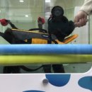 재생동물병원 이미지