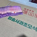 청송사과초모식초 리얼 후기｜사과 한 알의 정성이 느껴지는 ACV