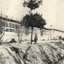 송하초등학교 이미지