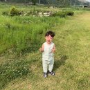 개경포기념공원 | 미니멀캠핑 시작 * 고령 개진면 오사리(개경포기념공원)