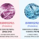 케이나인코리아(K9 KOREA) | K9 다이제스트, 강아지 대용량 유산균 추천👀💜