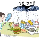 남아식품