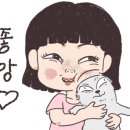 바오로둥지 너싱홈