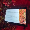 송학주천로 | 강원도 영월 가볼만한곳 젊은달와이파크 후기. 주차/소요시간/요금/포토존+꿀팁有