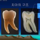 성북이엔이치과 이미지