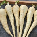 더바디짐 이미지