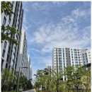 굿모닝부동산중개사무소 이미지