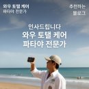 파타야 티스토리