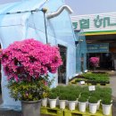 성남하나로마트 앞 이미지