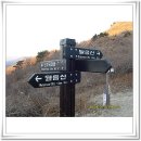 함박곡 Daum카페