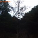 하색2리 마을회관 이미지