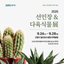 다육씨