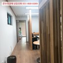 꽃대나리로 네이버블로그