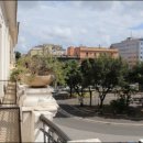 스텔라 민박 이미지