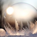 개의온도 | 수험생 실내용 손난로 추천, 체감온도 후기