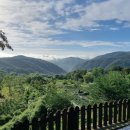 농가맛집 밀 이미지