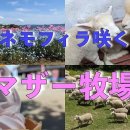 태평양목장 이미지