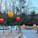 강화군 석모도자연휴양림 이미지