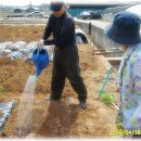 동수농장 이미지