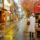 우체국 이팝나무 이미지