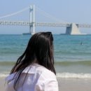 재림수지 이미지
